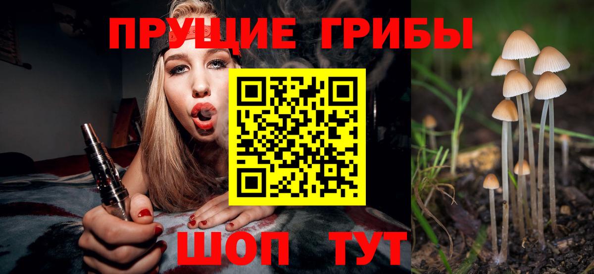 Галлюциногенные грибы MAGIC MUSHROOMS  Вход с VPN  Бугуруслан 
